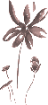 fleur-dao.gif