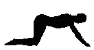 yoga-chien-1.gif